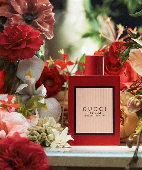 gucci parfum dames bloom|gucci bloom perfume collection.